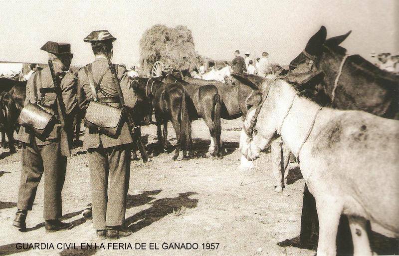 Feria de Ganado 1957