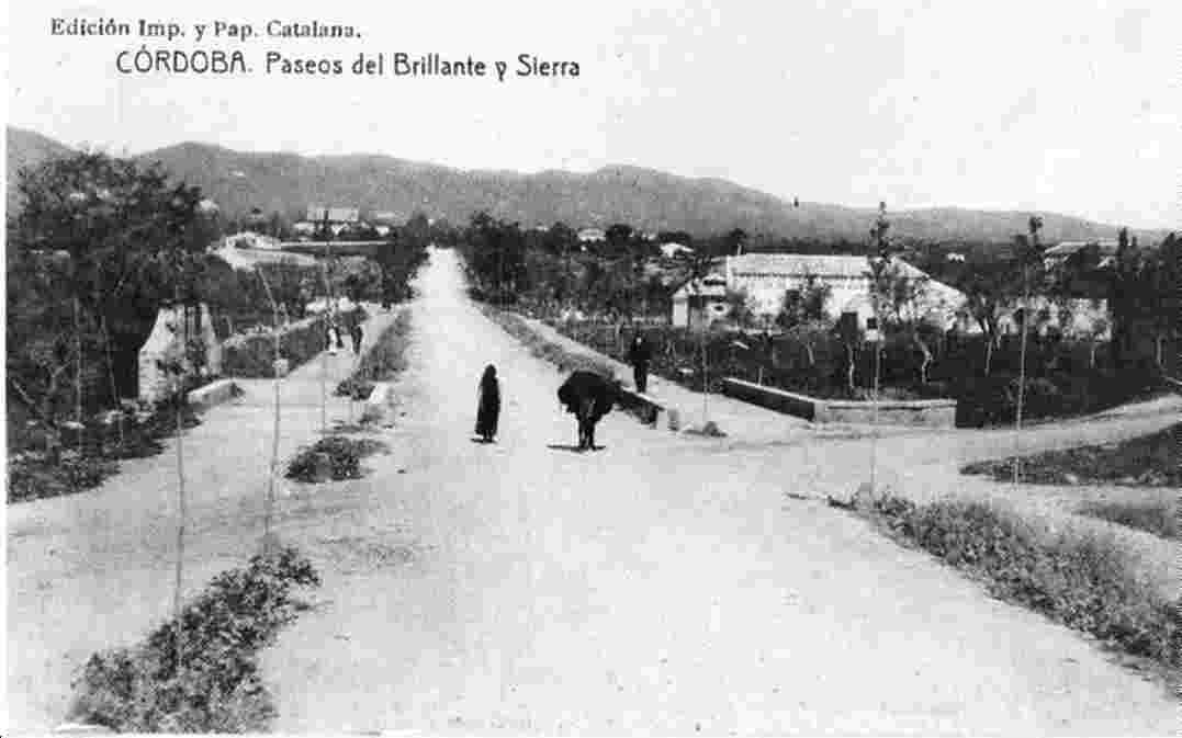 Avenida del Brillante