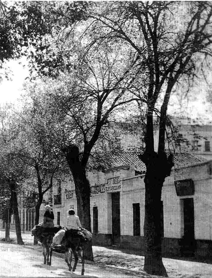 Ronda de Los Tejares