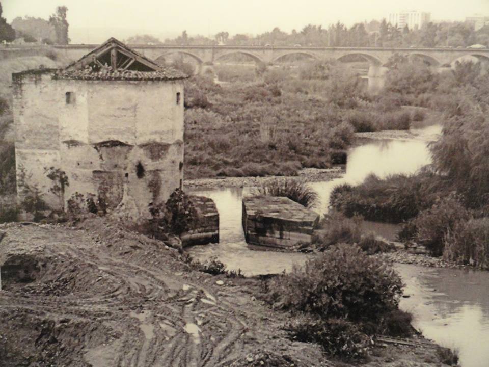 Molino sobre el río Guadalquivir