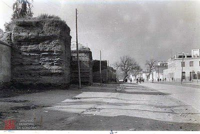 Muralla del Marrubial