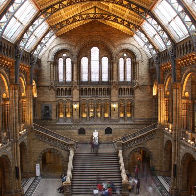 Museo de Historia natural