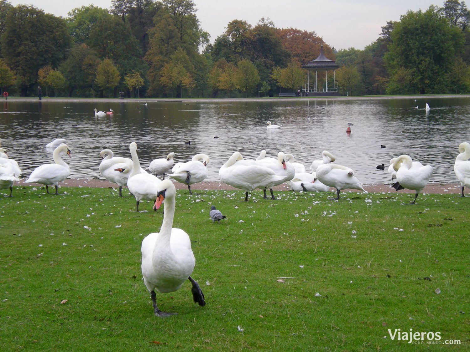 Hyde Park, en Londres
