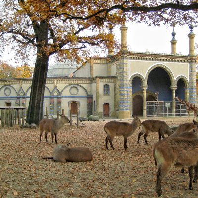 Zoo de Berlín