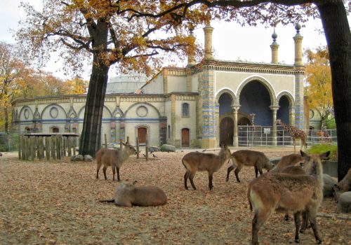 Zoo de Berlín