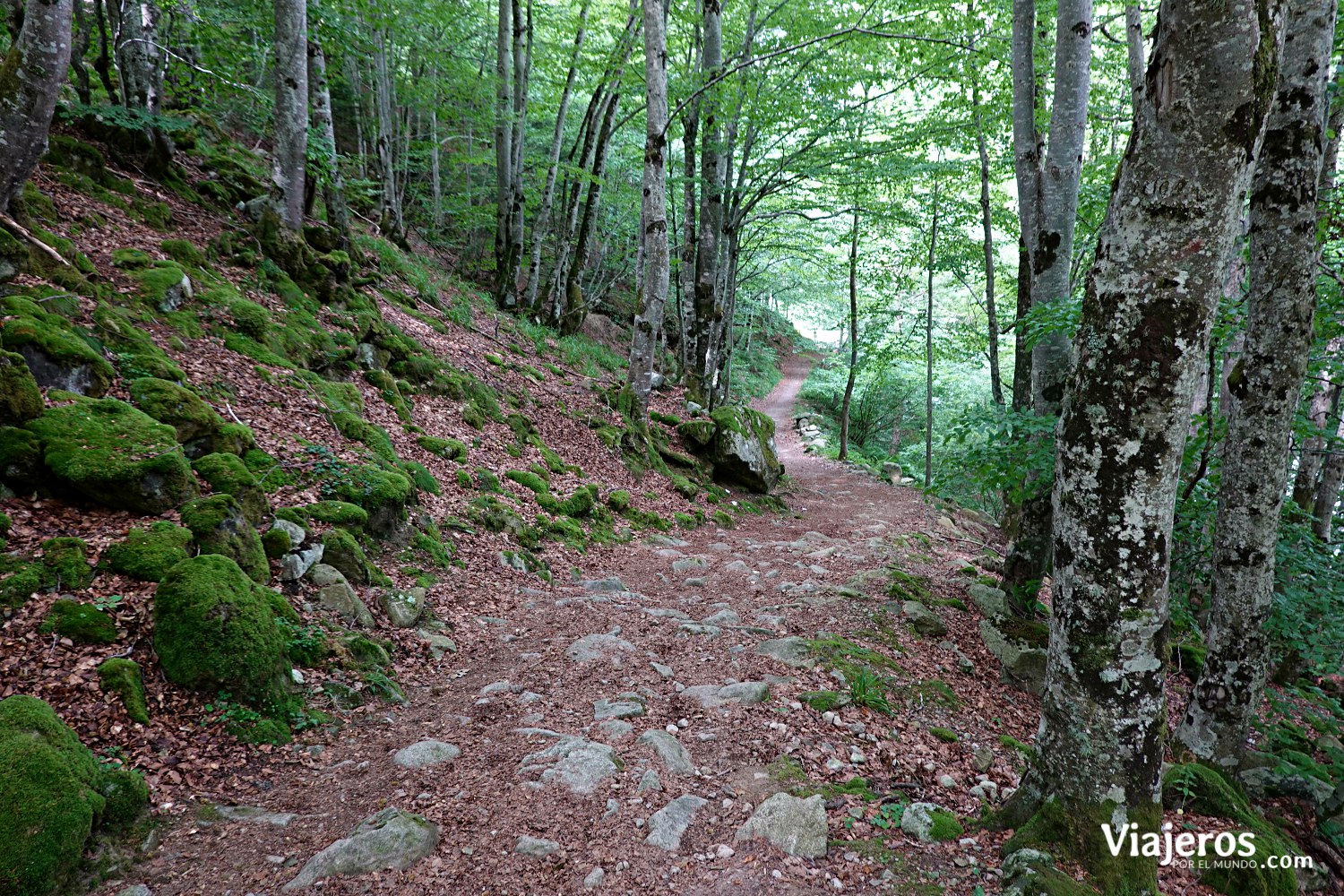 Cascade du Lutour 