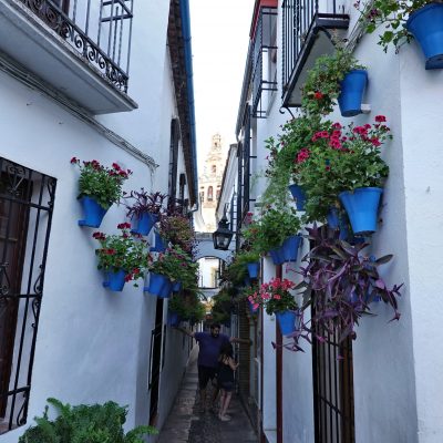 Calleja de la Flores