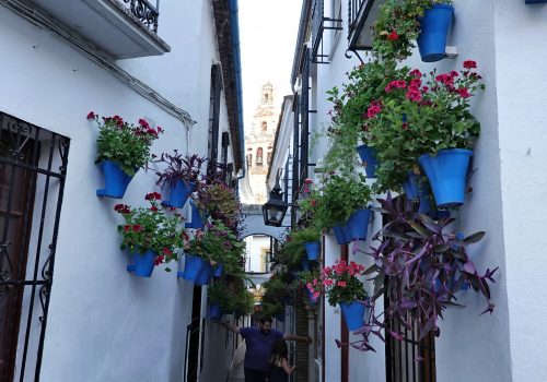 Calleja de la Flores