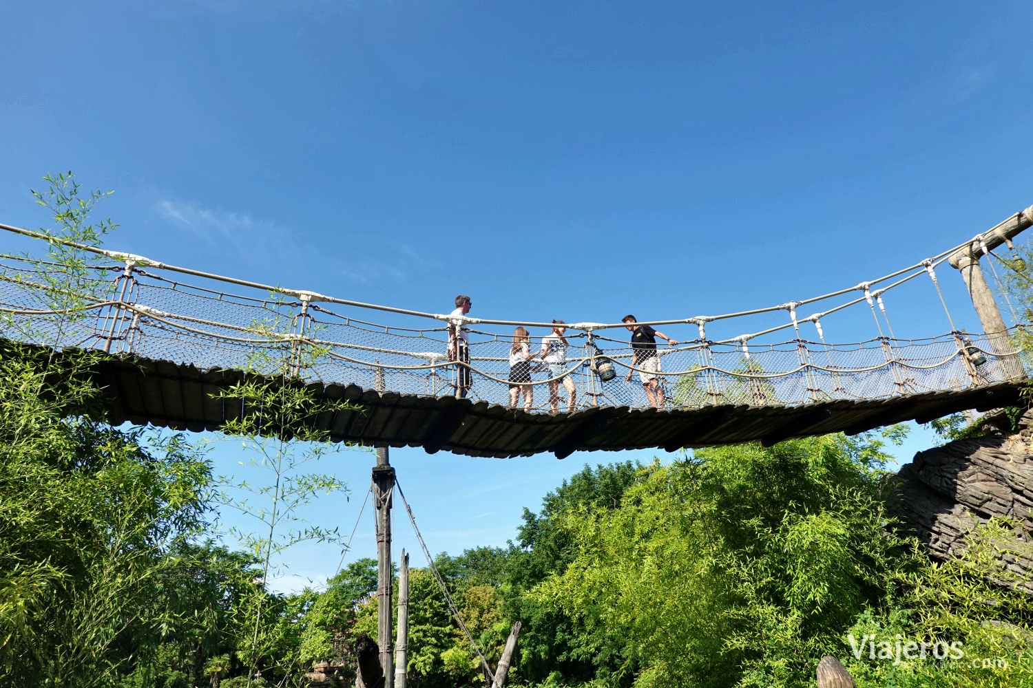 Puente colgante en Adventureland