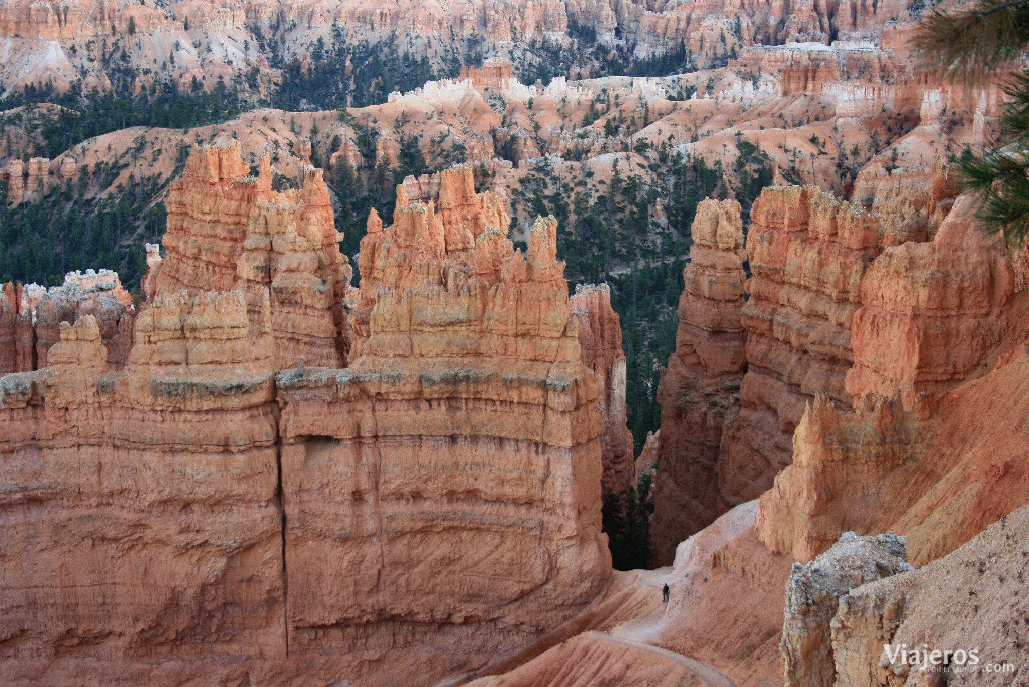 qué ver en Parques Nacionales Estados Unidos Bryce Canyon