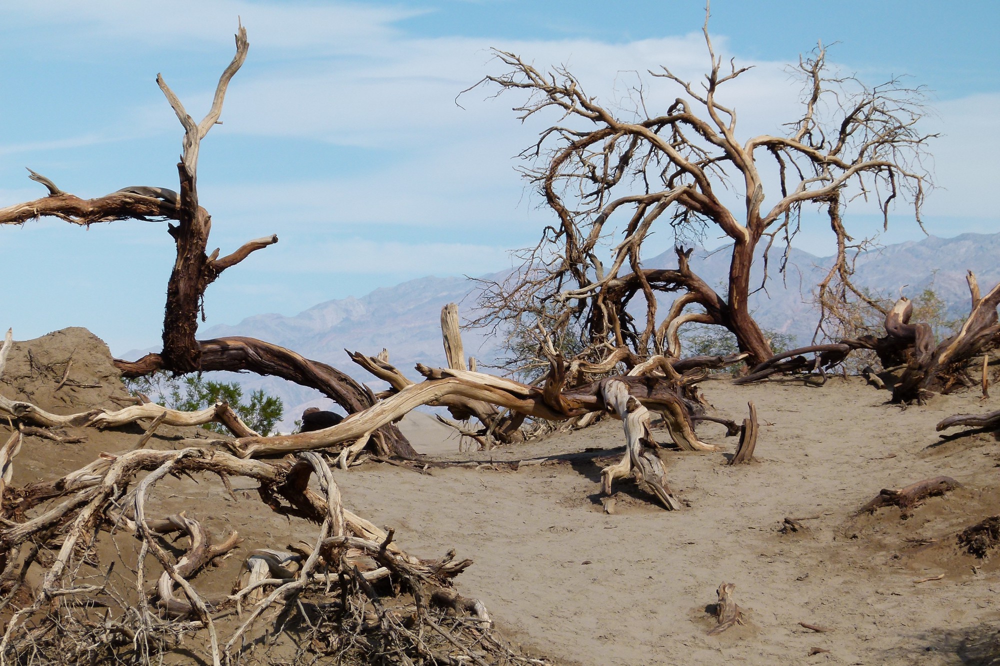 Qué ver en California Death Valley National Park 