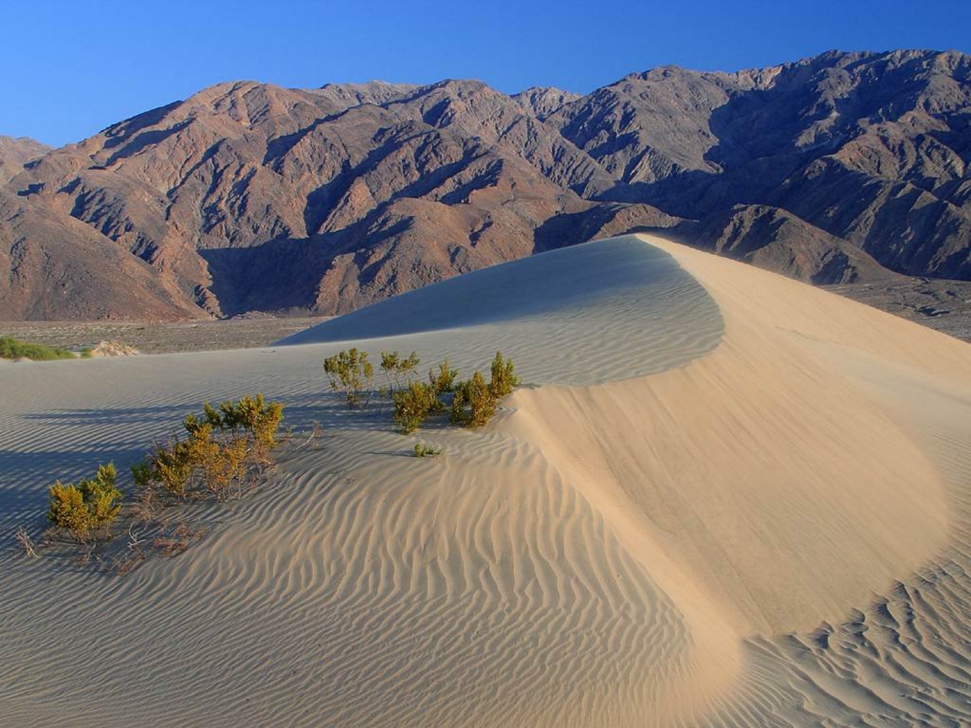 Qué ver en Parques Nacionales de Estados Unidos Death Valley