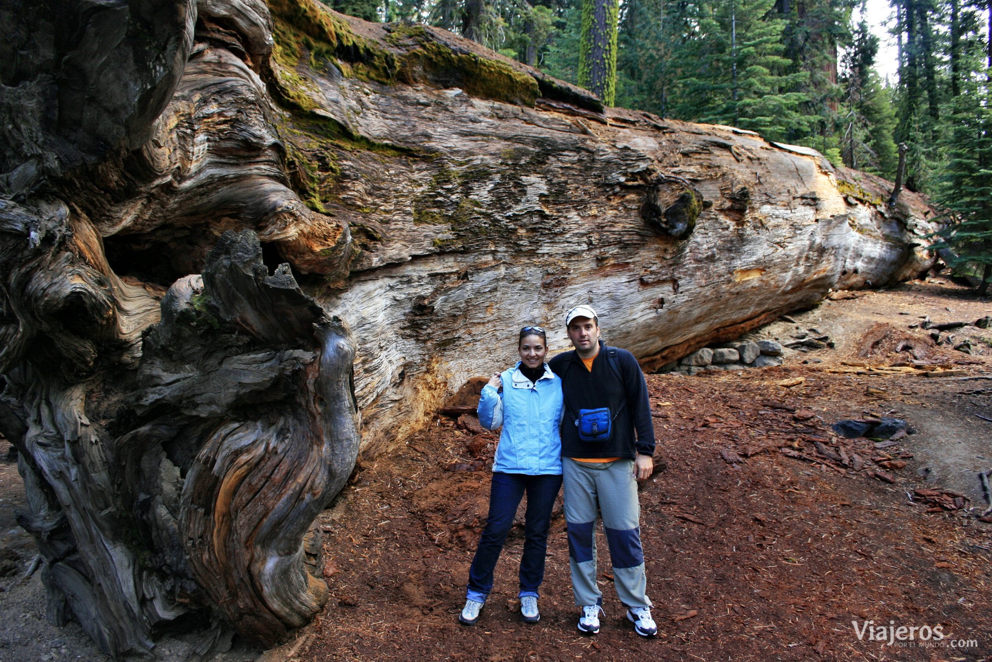 que ver Parques Nacionales de Estados Unidos Yosemite