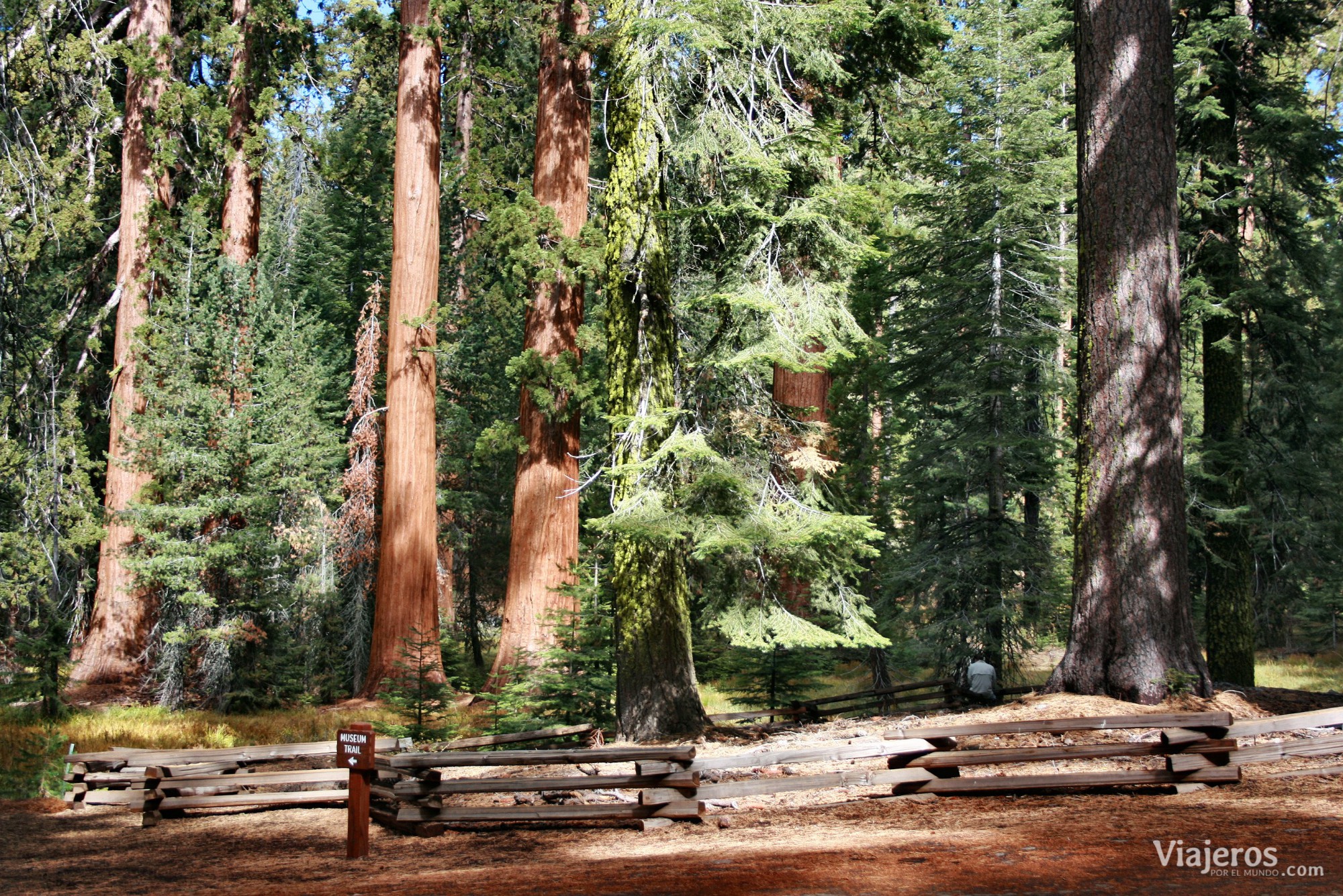 Qué hacer California Yosemite National Park