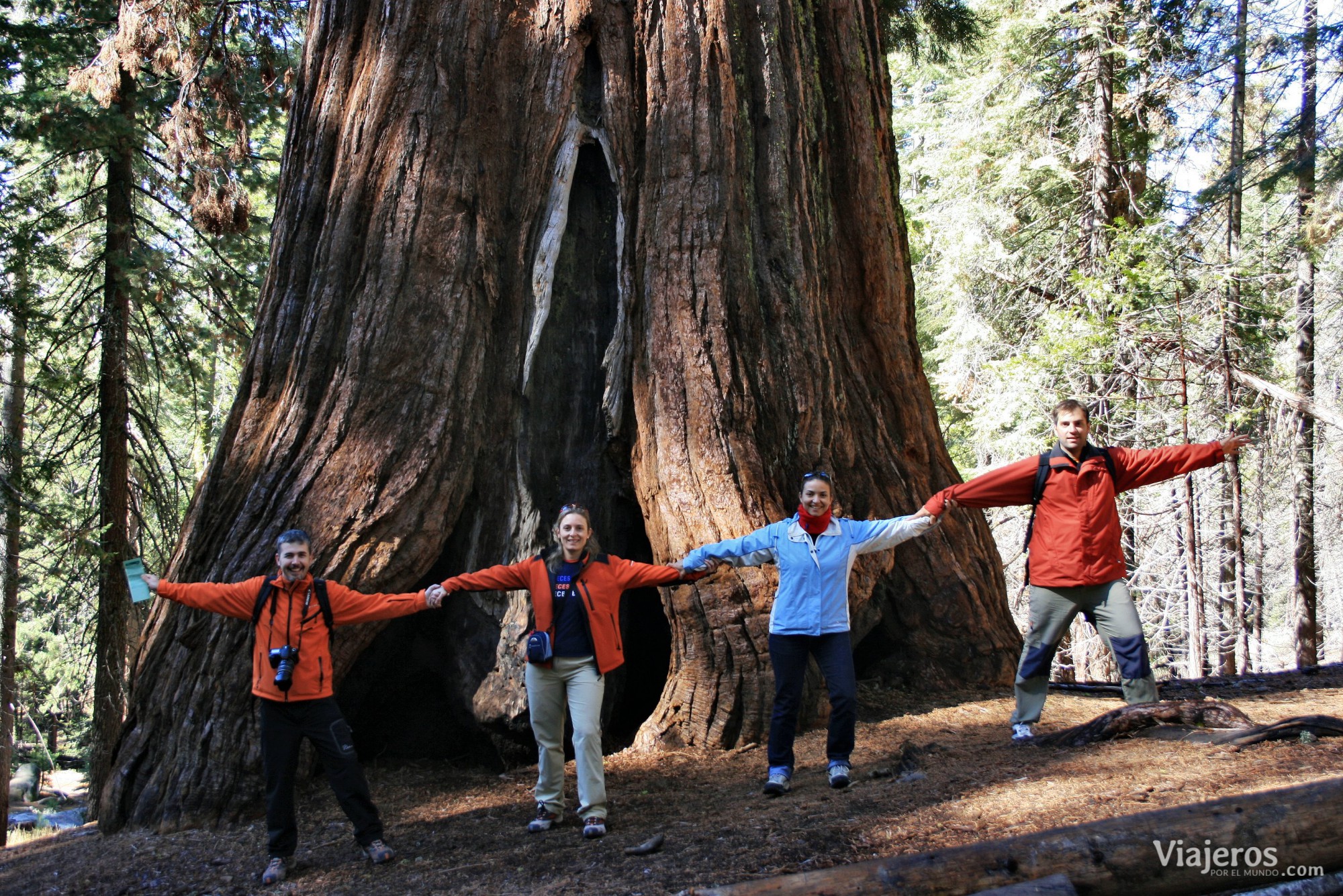 Qué hacer California Yosemite National Park