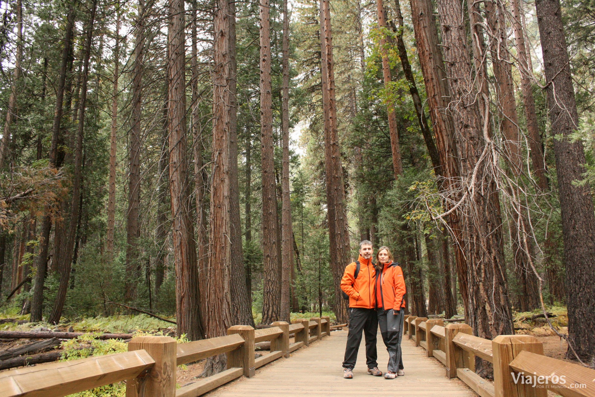 Yosemite Natural Park Parques Nacionales de Estados Unidos