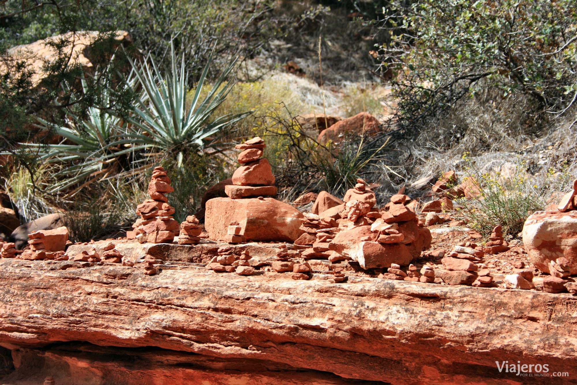 Zion National Park que ver Estados Unidos