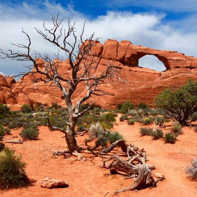 Arches National Park