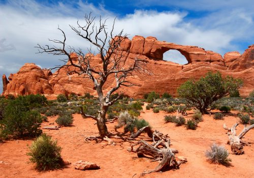 Arches National Park