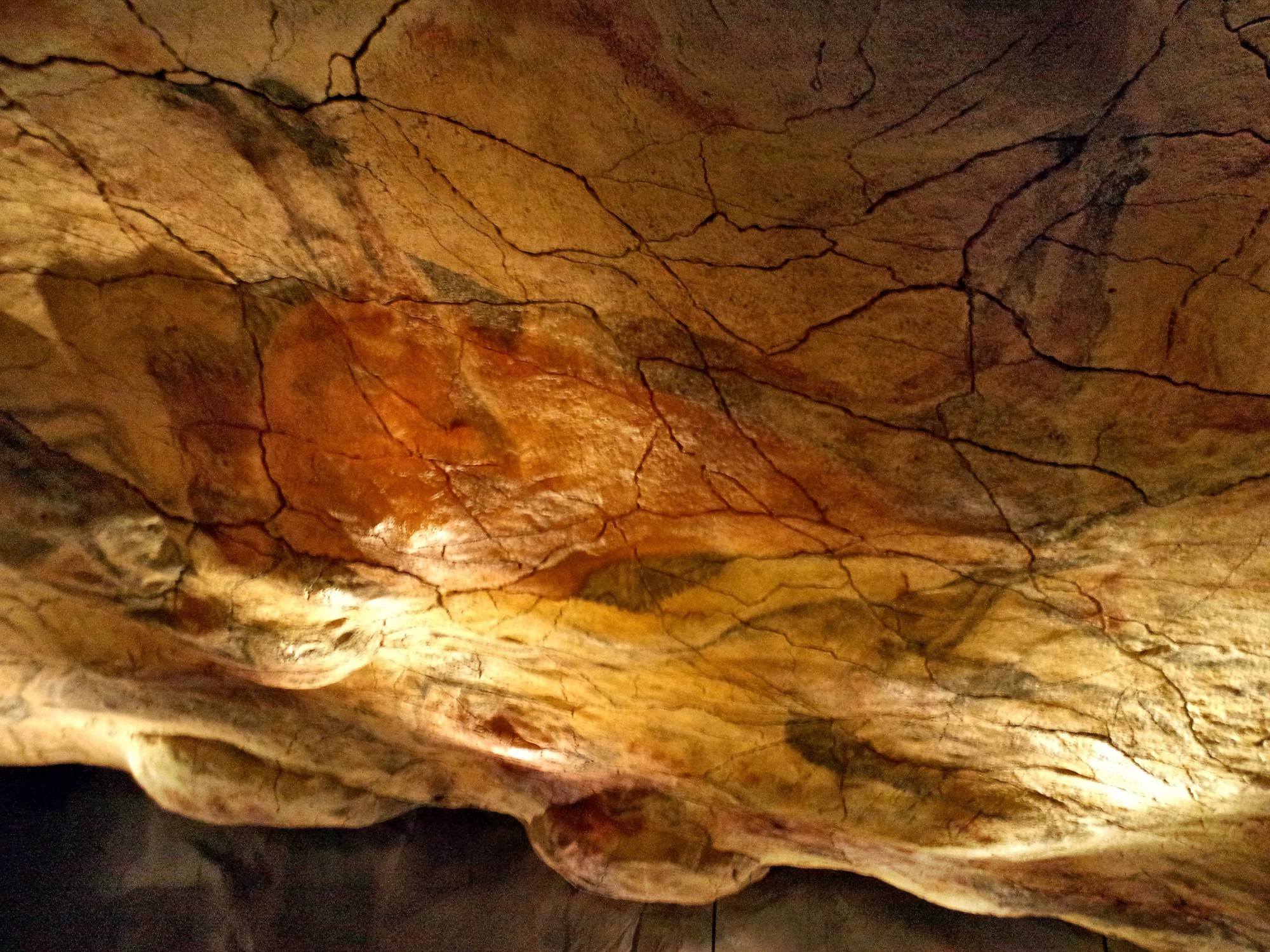 Cueva de Altamira que hacer en Cantabria