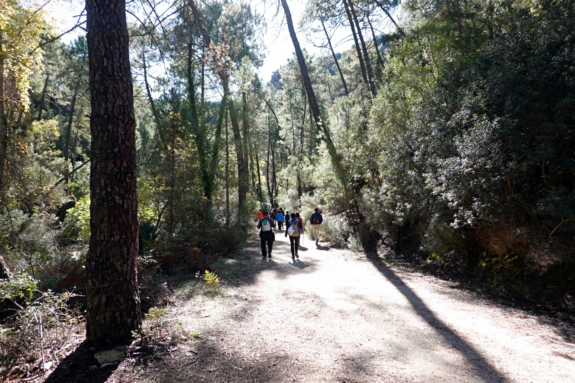 que ver en Cazorla Parque Natural de Sierra de Cazorla