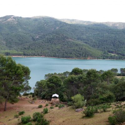 Parque Cinegético Collado del Almendral