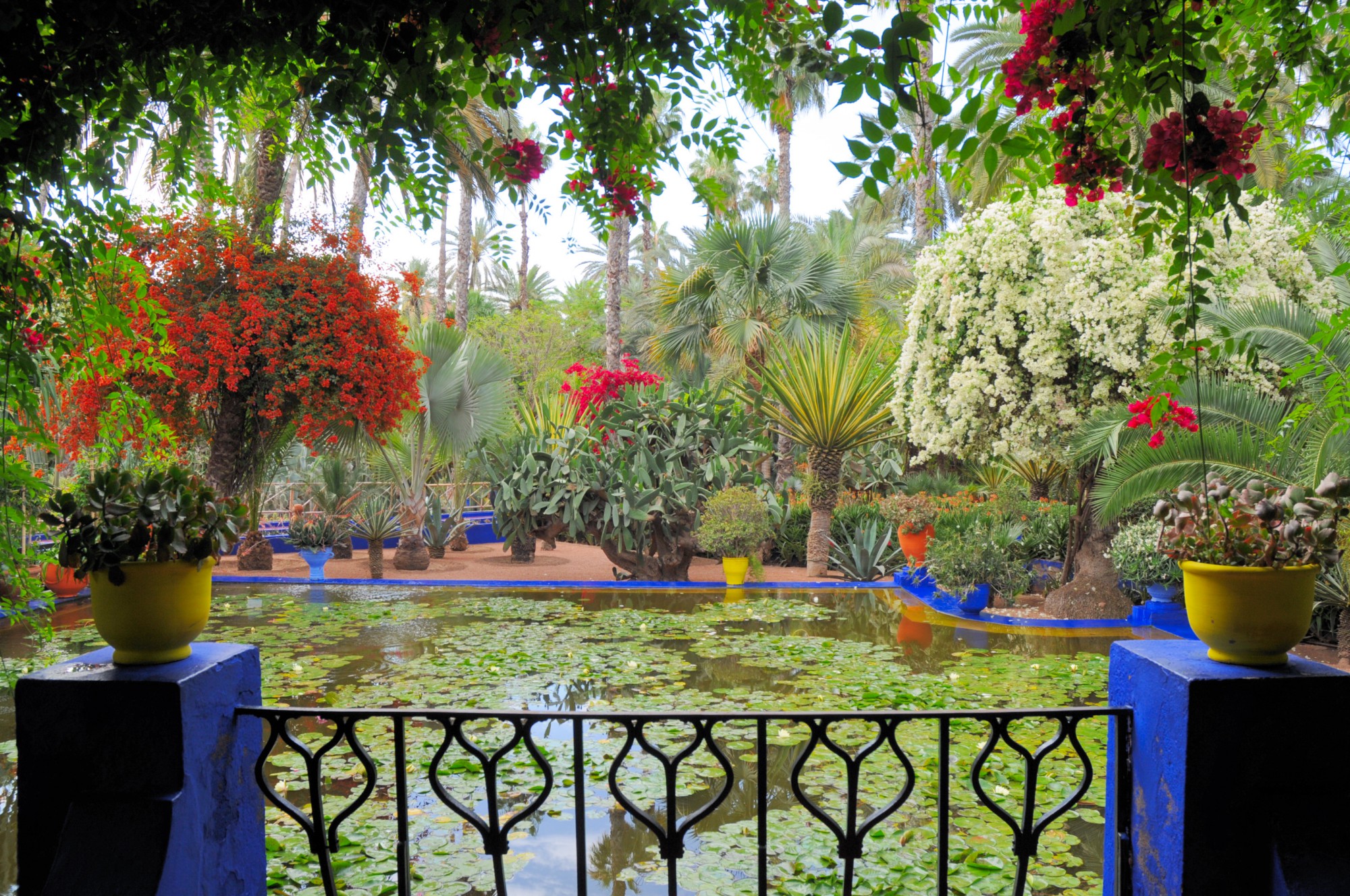 que ver en Marrakesch Jardín de Majorelle