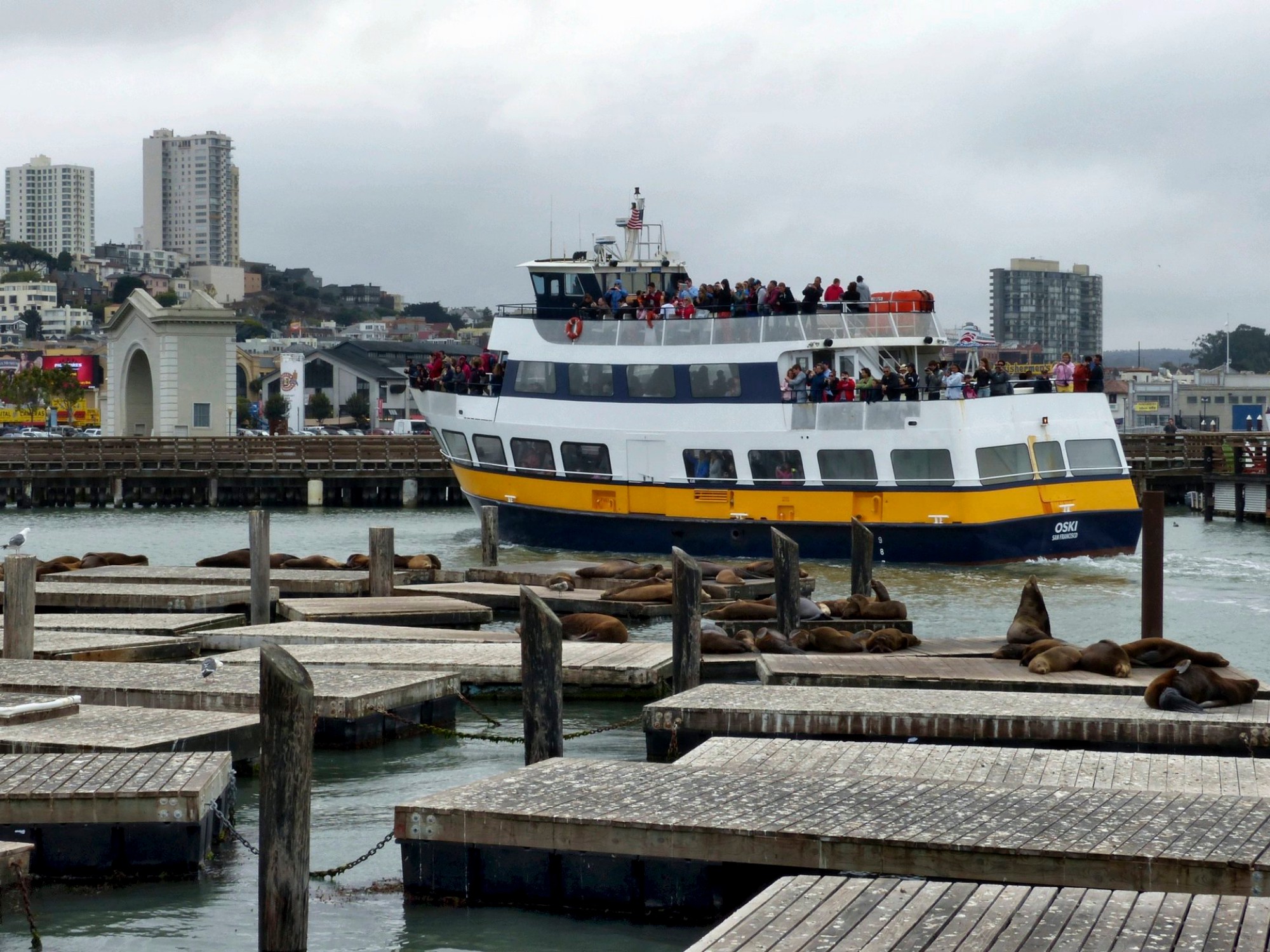 que ver San Francisco Pier 39