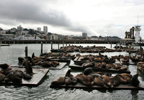 Pier 39, diversión familiar