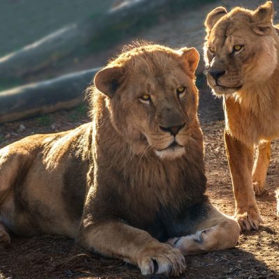 Parque Zoológico Nacional de Delhi