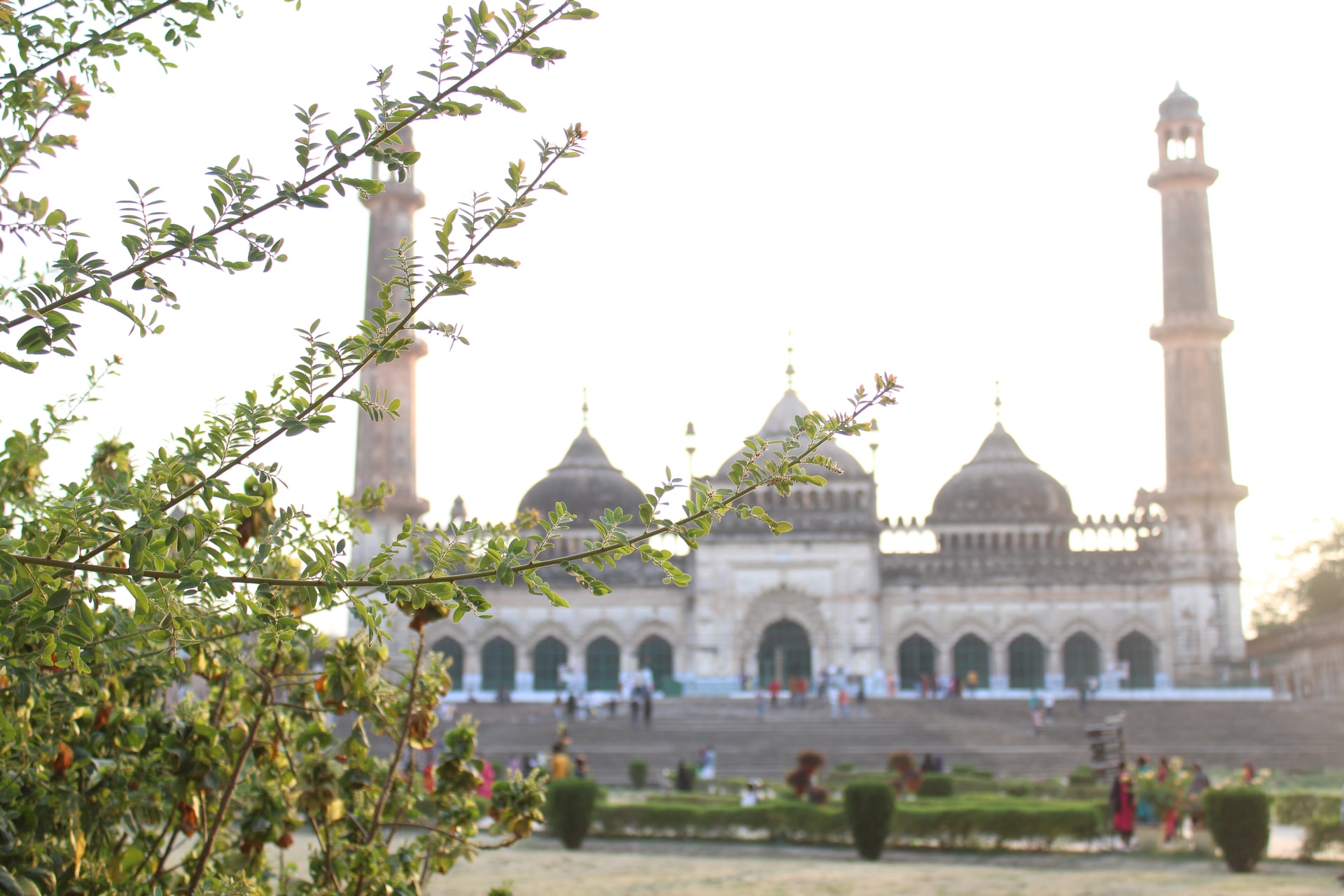 qué ver en Delhi Rashtrapati Bhavan