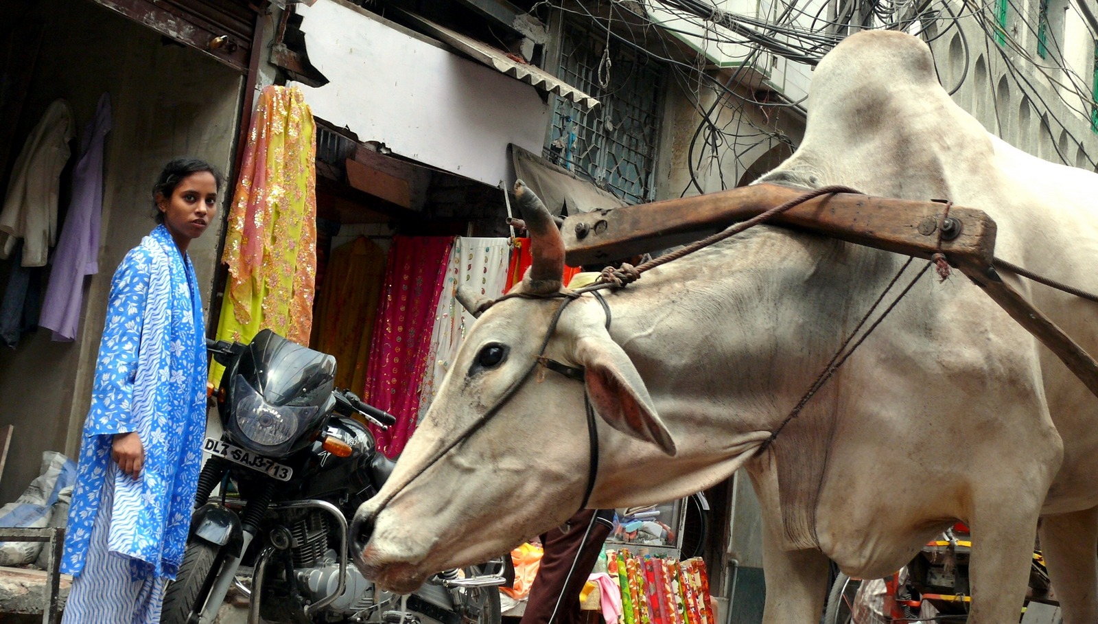 qué ver en Delhi