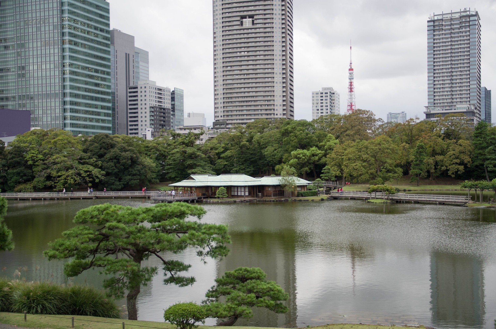 qué ver en Tokio Jardines Hamarikyu