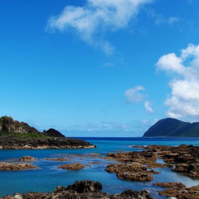 Isla de las Orquídeas