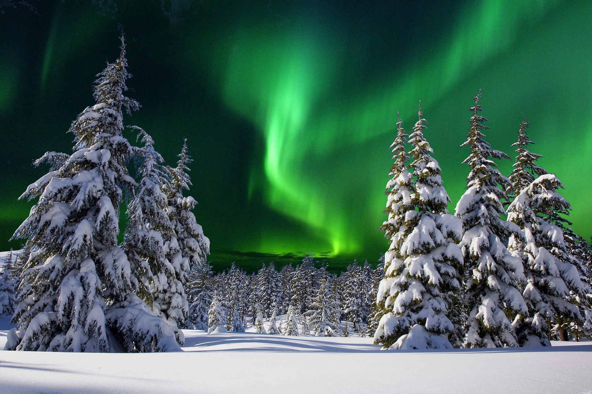 cúando ver auroras boreales