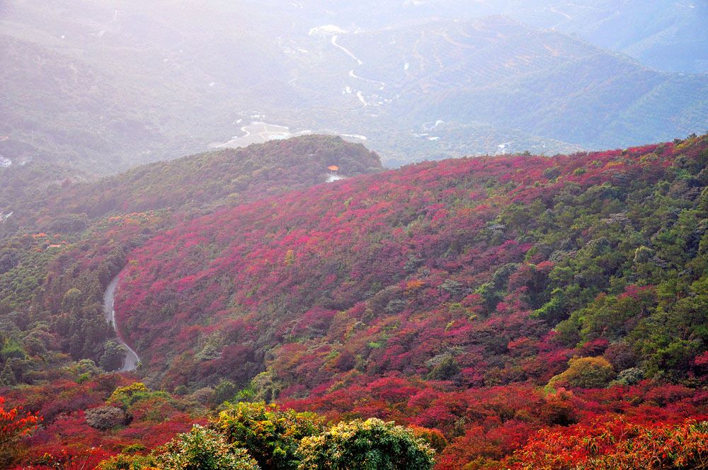 qué ver en Guangzhou Shimen National Forest Park 