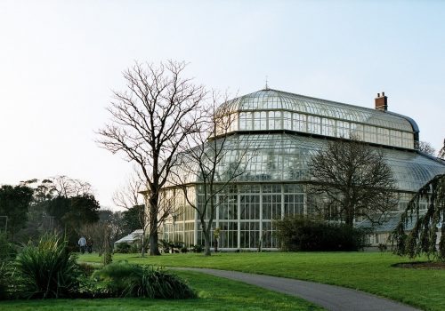 Jardín Botánico Nacional de Dublín