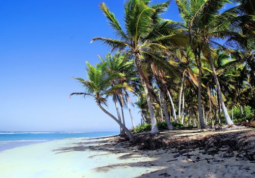 El trío de ases del Caribe, el paraíso soñado