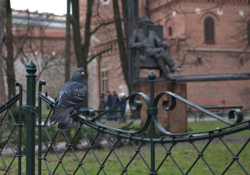 Parque Planty, Cracovia