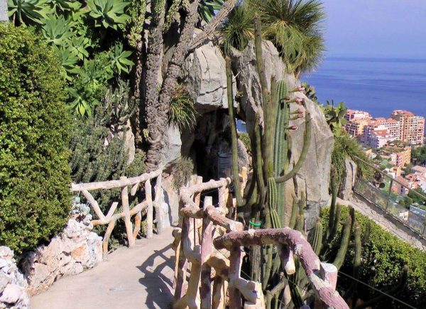 Jardín Exótico de Mónaco